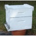 Hive of Honey Bees Established 8 Frame